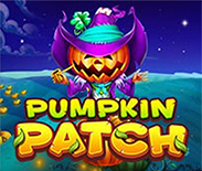 Pumpkin Patch